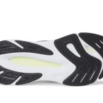 FuelCell Walker Elite V1