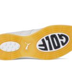 Avant Wing Tip
