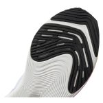 FuelCell SuperComp Pacer