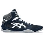 Snapdown 3 Wrestling Shoe