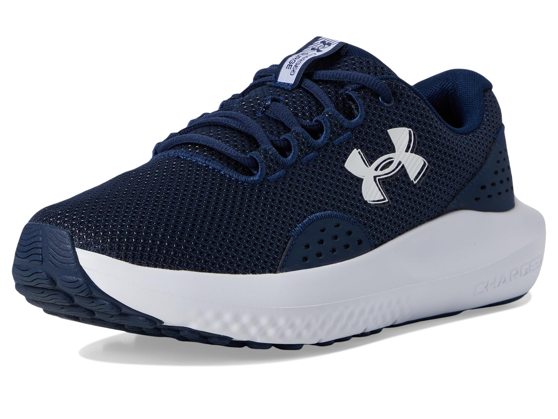 Charged Surge - Галерея 7