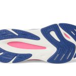 FuelCell Walker Elite V1