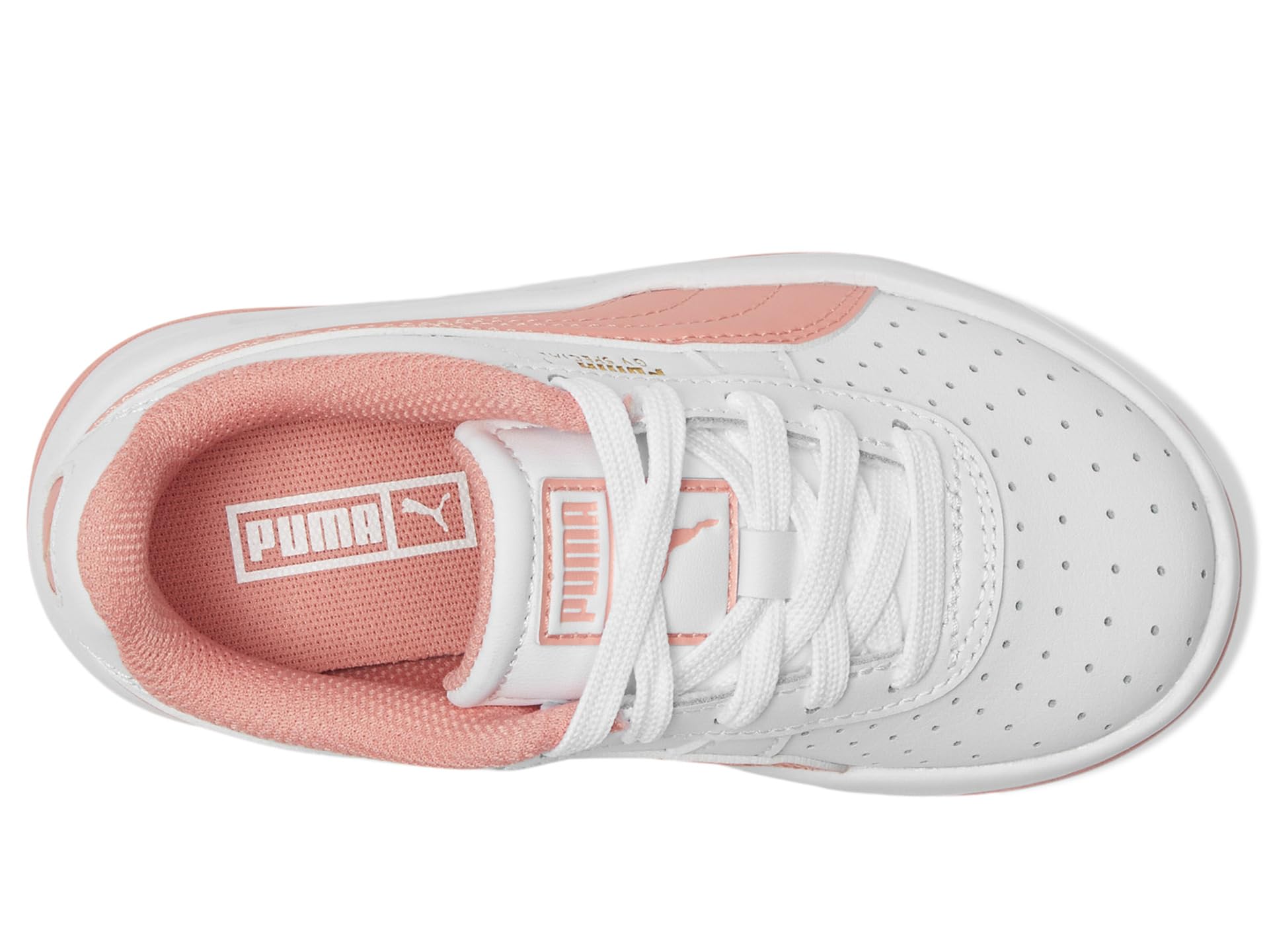 GV Special (Little Kid) - Галерея 2