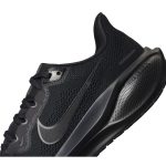 Pegasus 41
