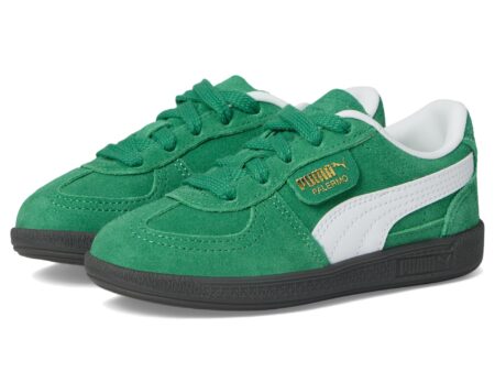 Palermo (Little Kid)