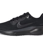 Pegasus 41
