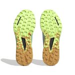 Terrex Agravic Flow 2