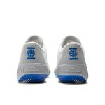 Fuel Cell 996v5 Pickleball